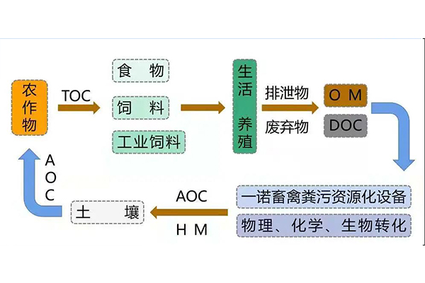 1629256745416459.jpg 8.jpg