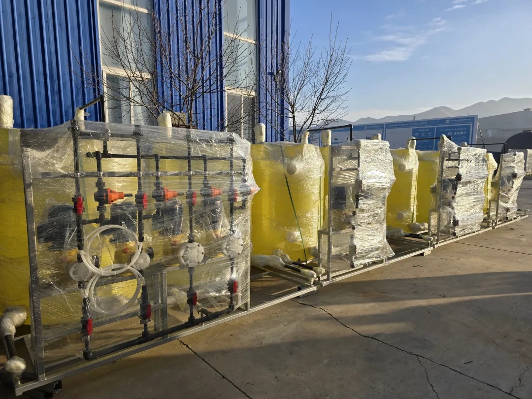 1735889335680466.jpg 1735889335680466.jpg